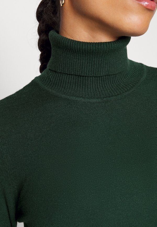 Vero Moda Petite VMHAPPINESS ROLLNECK DRESS