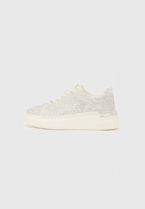 Steve Madden GLOBES