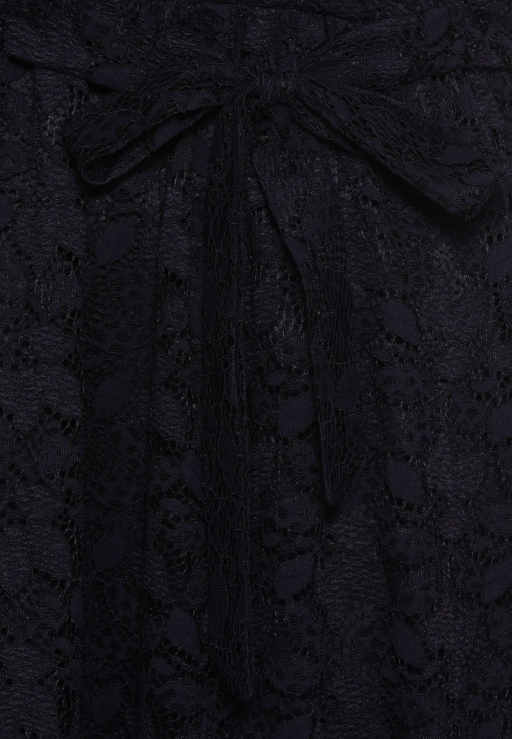 ONLANN LACE DRESS Media 3