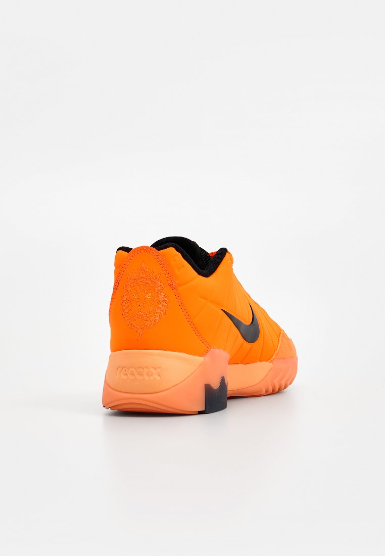 Nike Performance LEBRON WITNESS IX