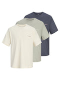 Jack & Jones JORMONTAUK BACK GRAPHIC TEE 3 PACK