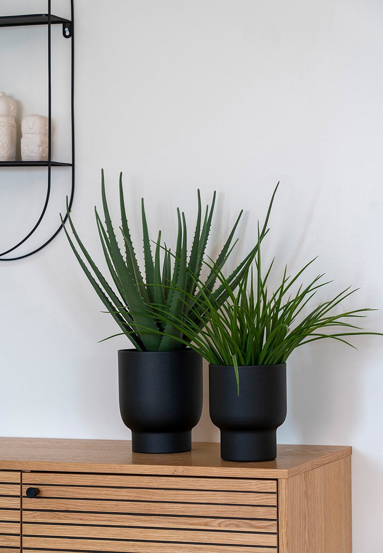 House Nordic ALOE VERA