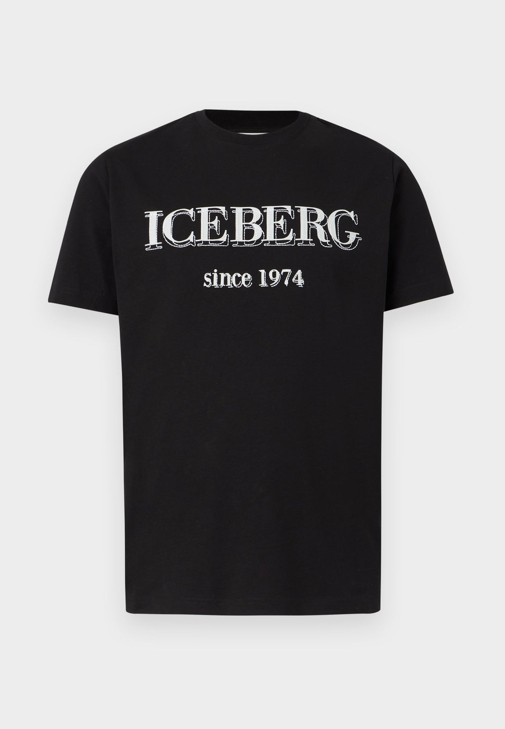 Iceberg