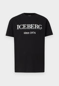 Iceberg