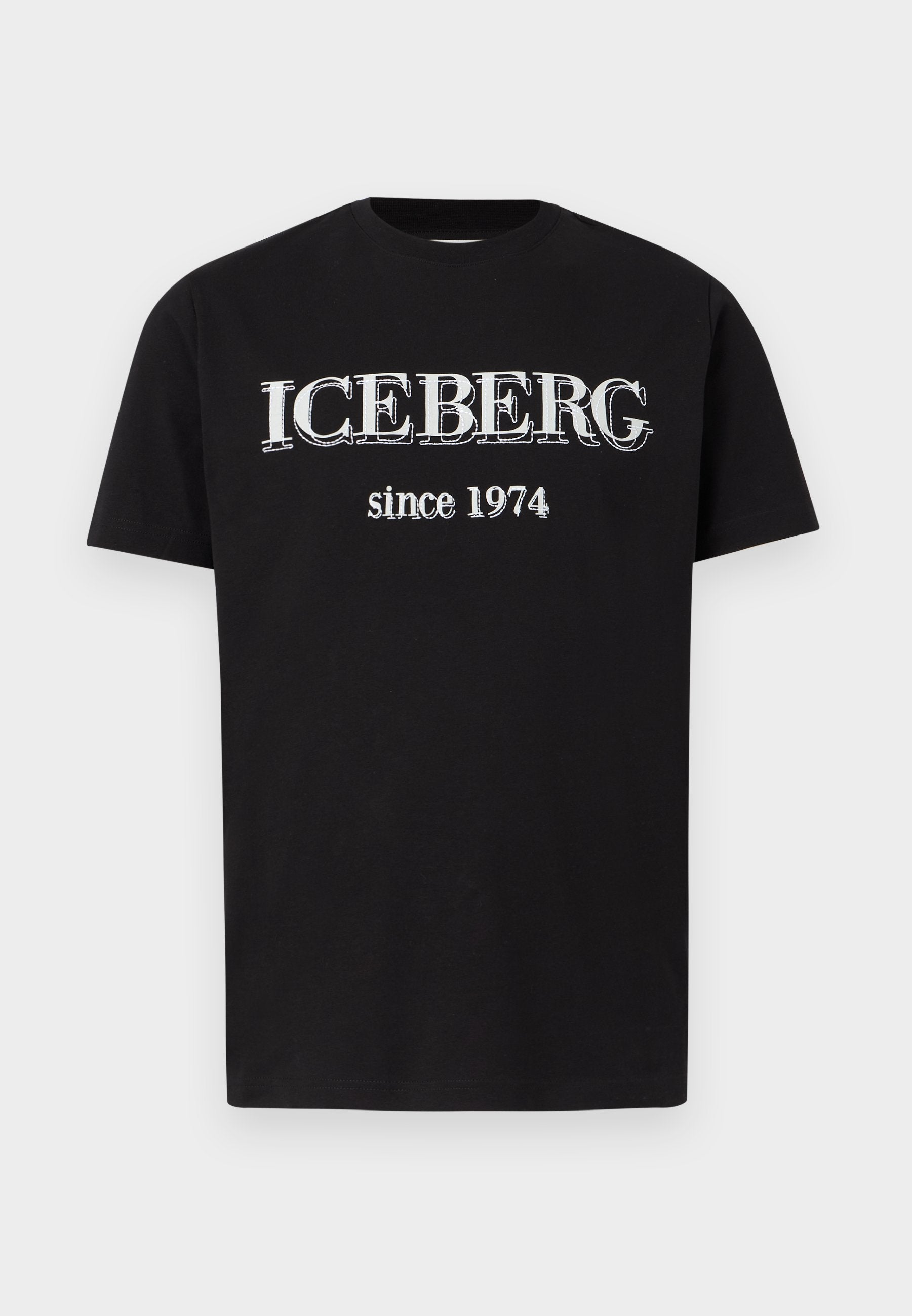 Iceberg
