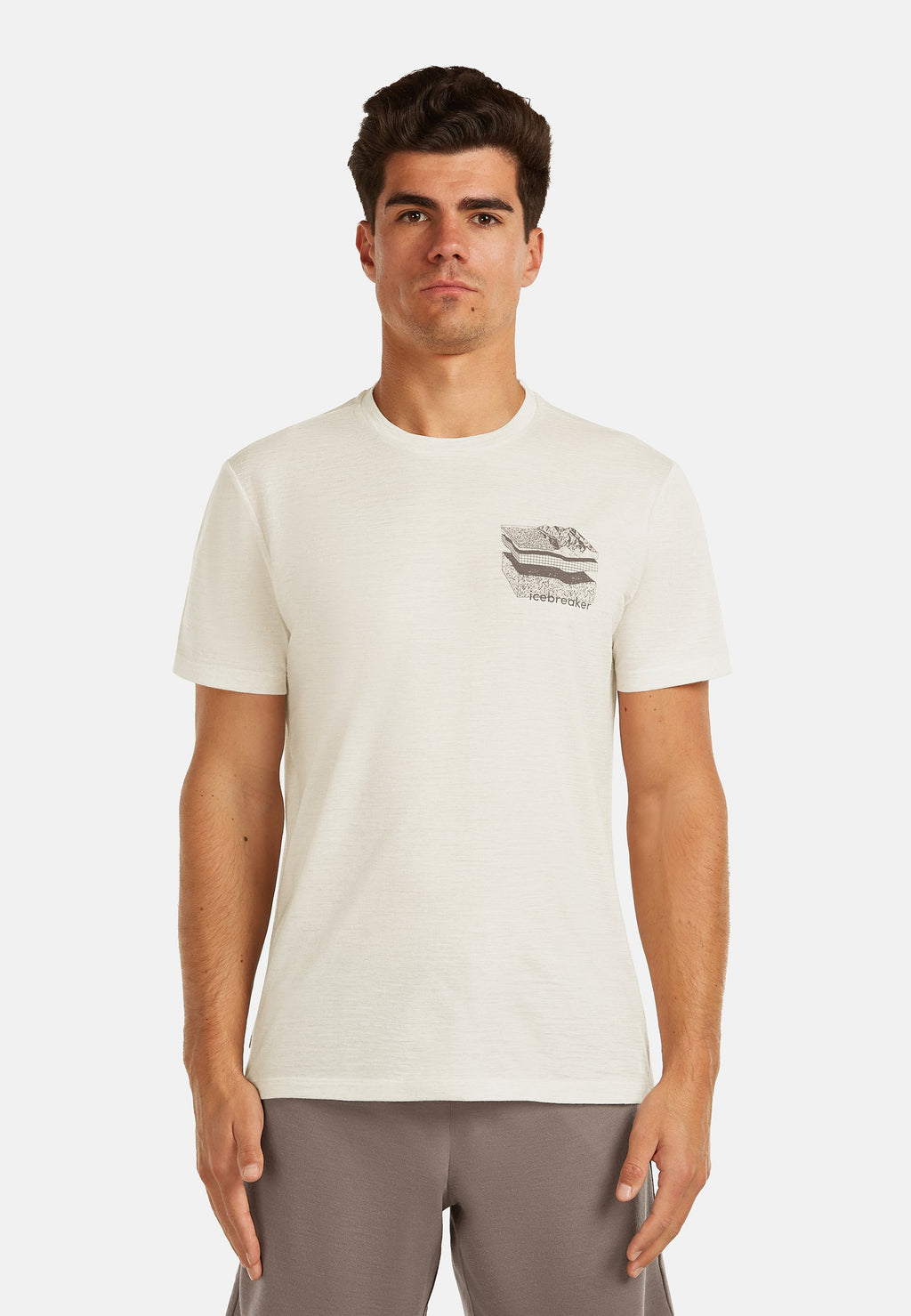 icebreaker M MER 150 TECH LITE SS TEE EVOLVING LAY