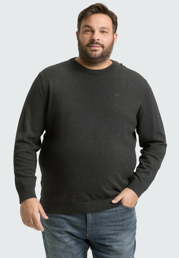TOM TAILOR PLUS - MIT LOGO - Jumper - black grey melange