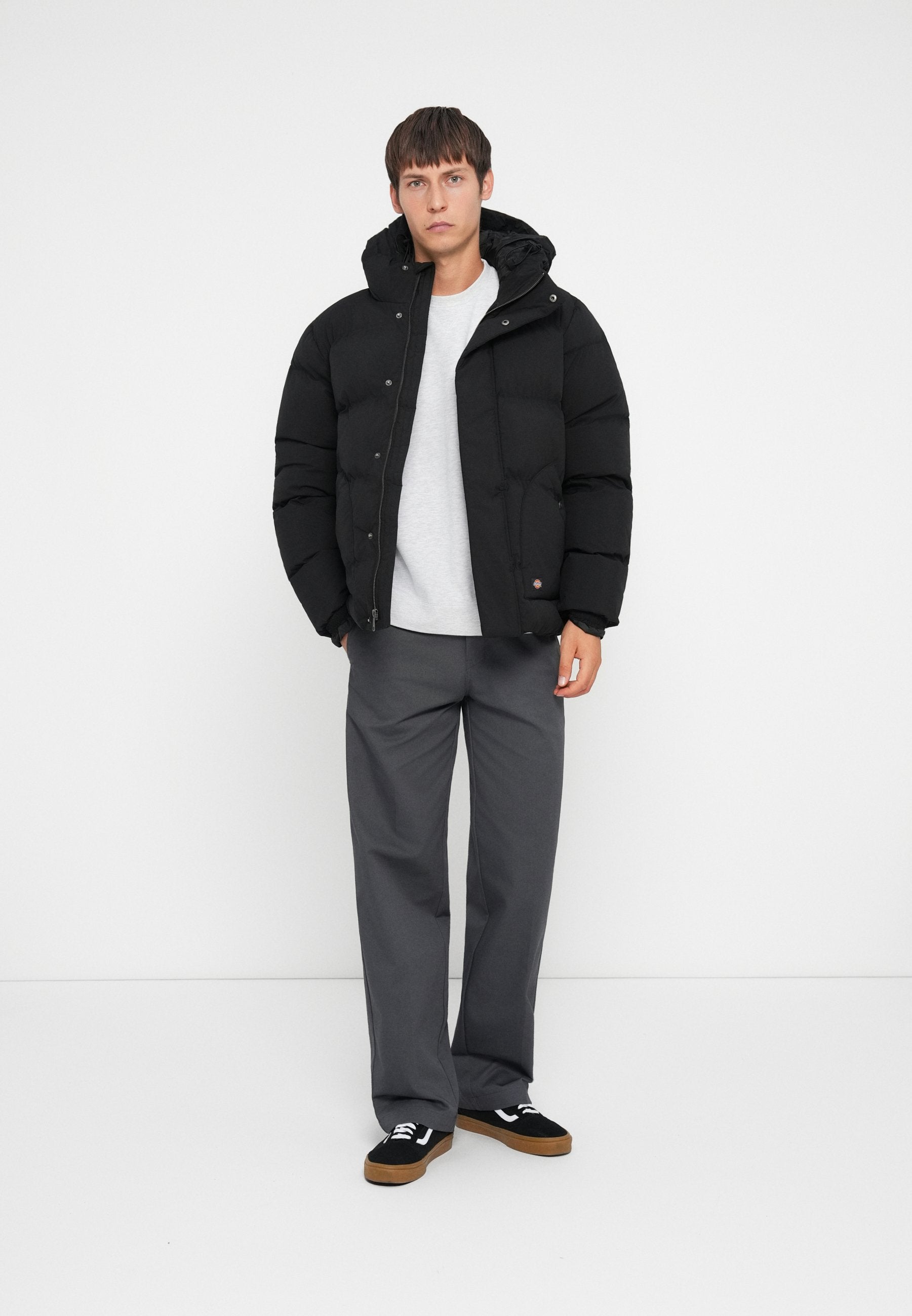 Dickies EAGLEVILLE HOODED PUFFER
