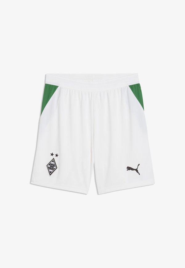 Puma BORUSSIA MÖNCHENGLADBACH 26/27 SHORTS - Club wear - white-archive green