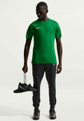 Nike Performance T-SHIRT NIKE DRI-FIT PARK VIII HV8173-302 - Sports T-shirt - verde