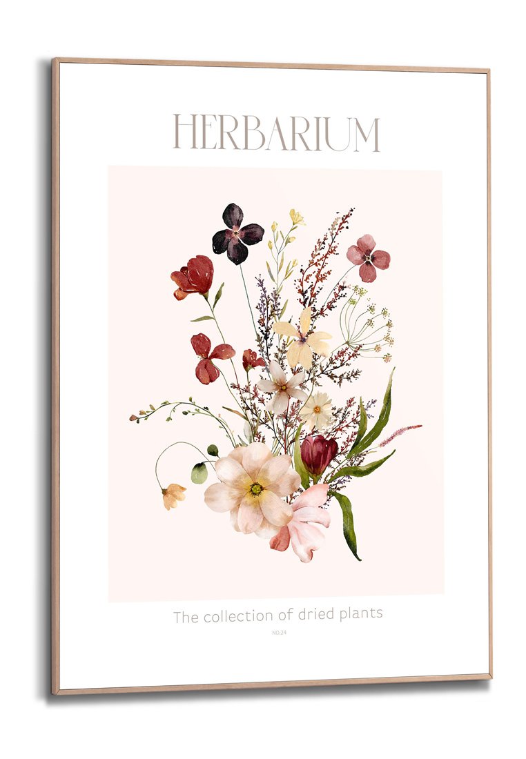 Orange Wallz HERBARIUM