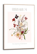 Orange Wallz HERBARIUM