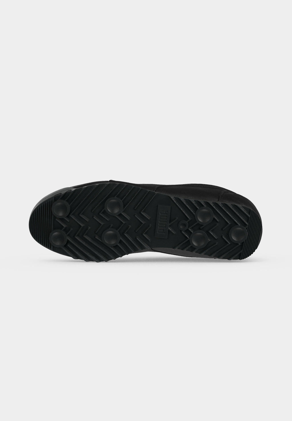 Puma ARIZONA
