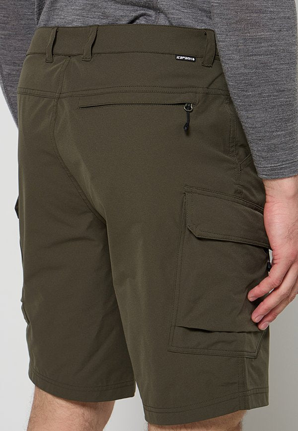 Icepeak BRASWELL