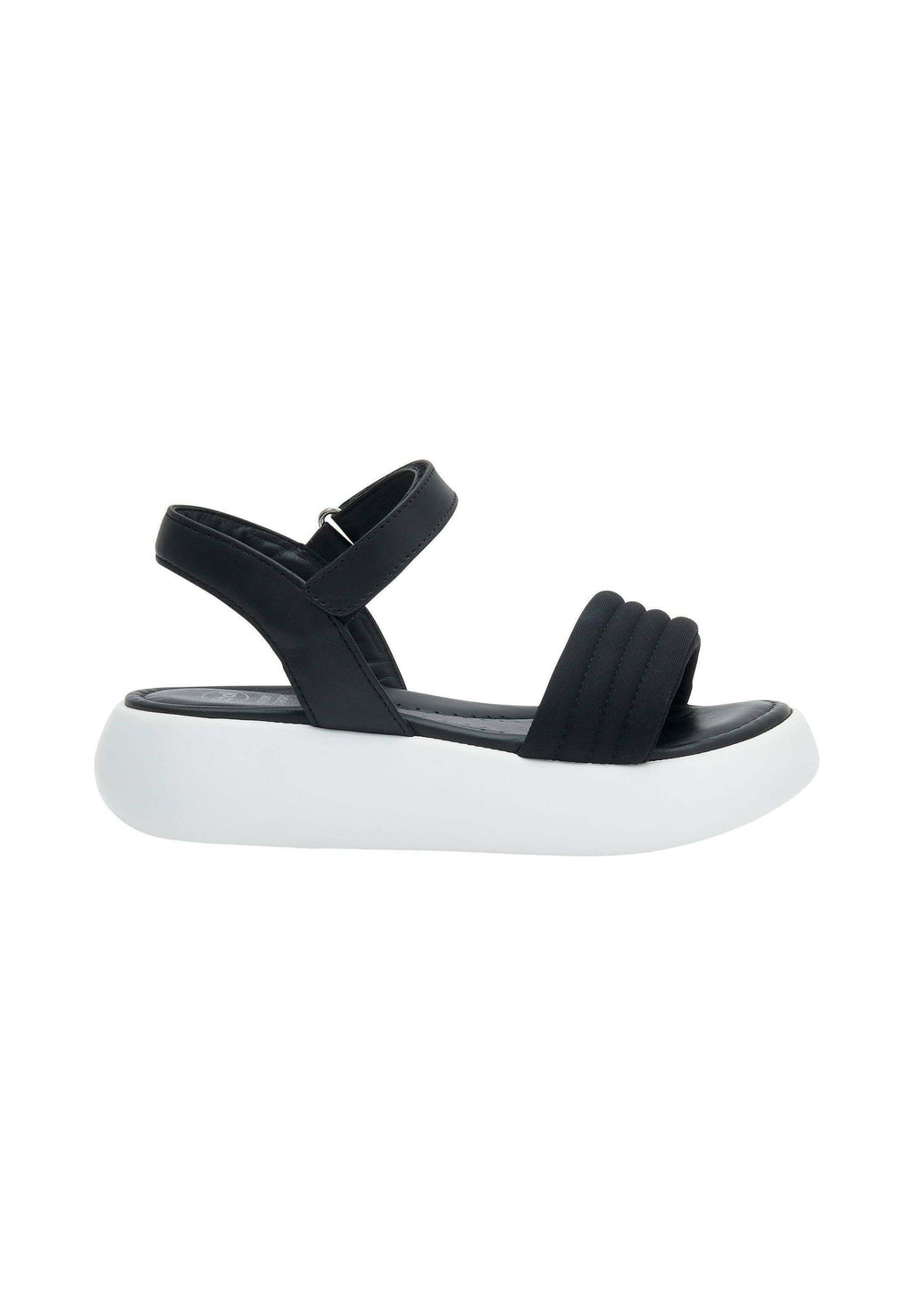Scholl BOCA