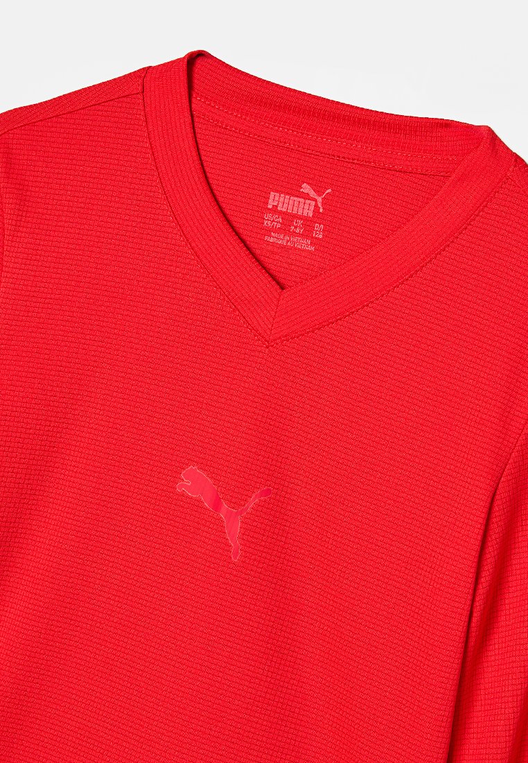 Puma TEAMGOAL
