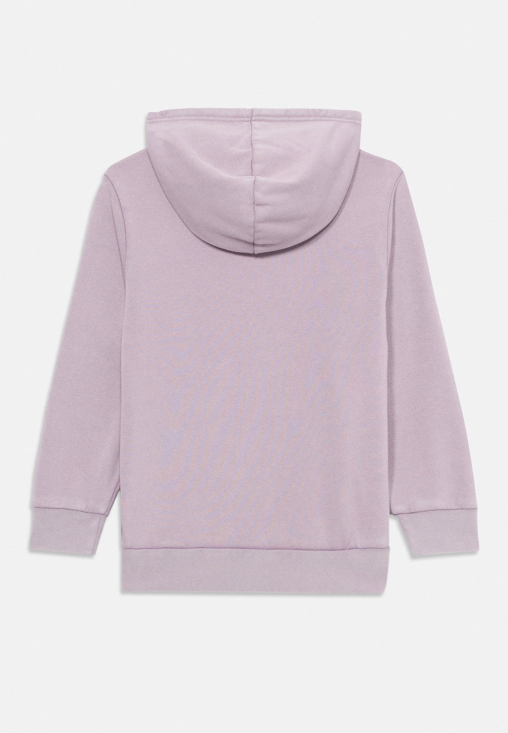 Champion ICONS WASH HOODIE UNISEX