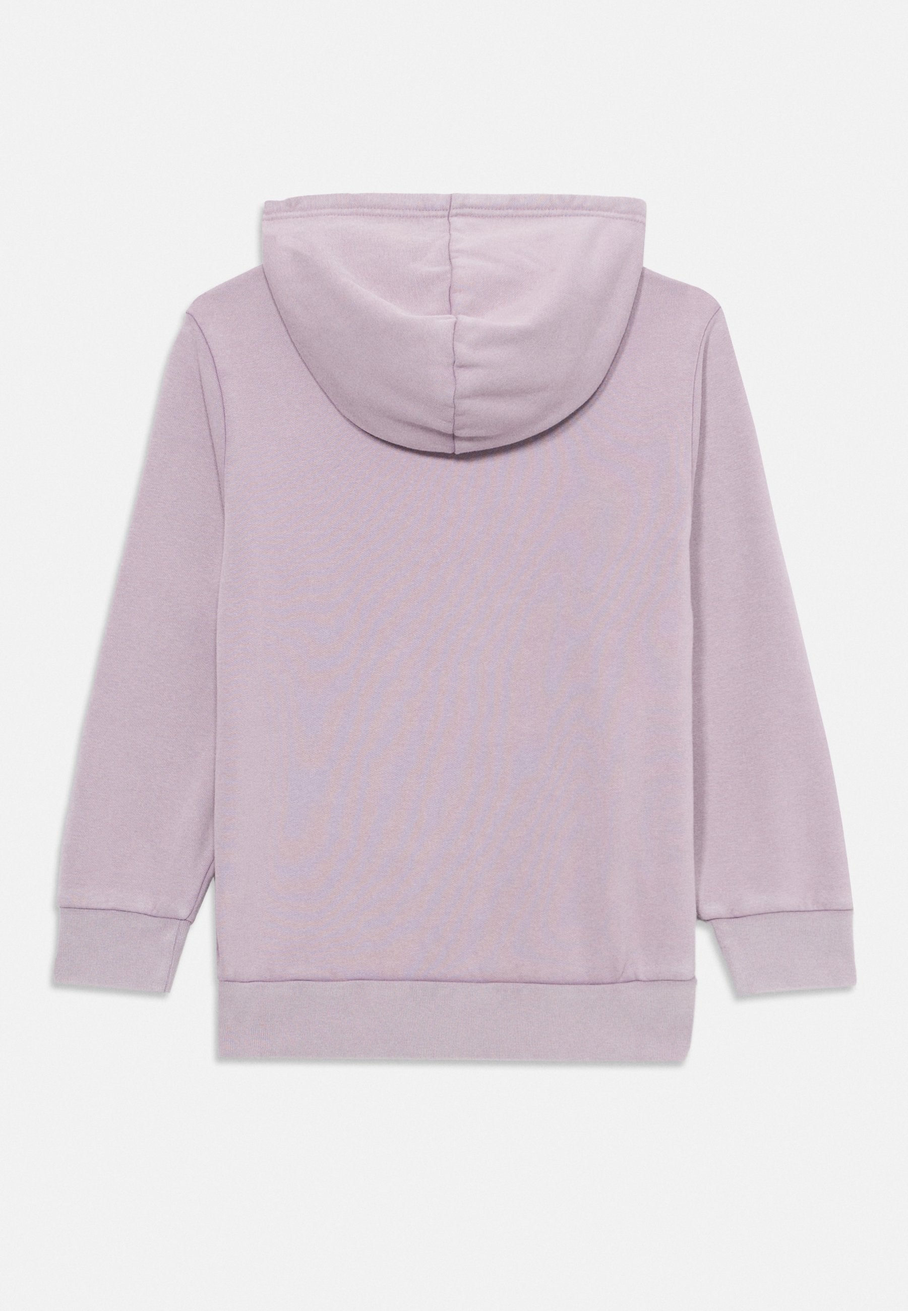 Champion ICONS WASH HOODIE UNISEX