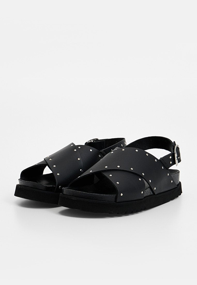 Scholl DALIA