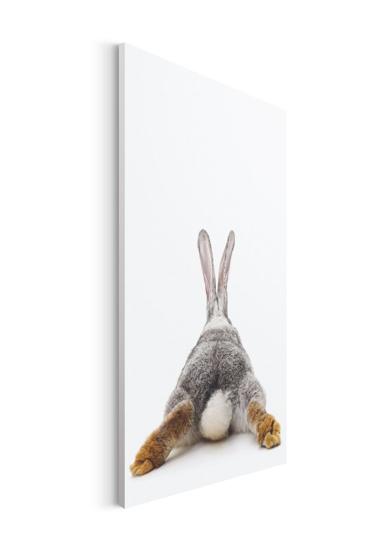 Orange Wallz RABBIT