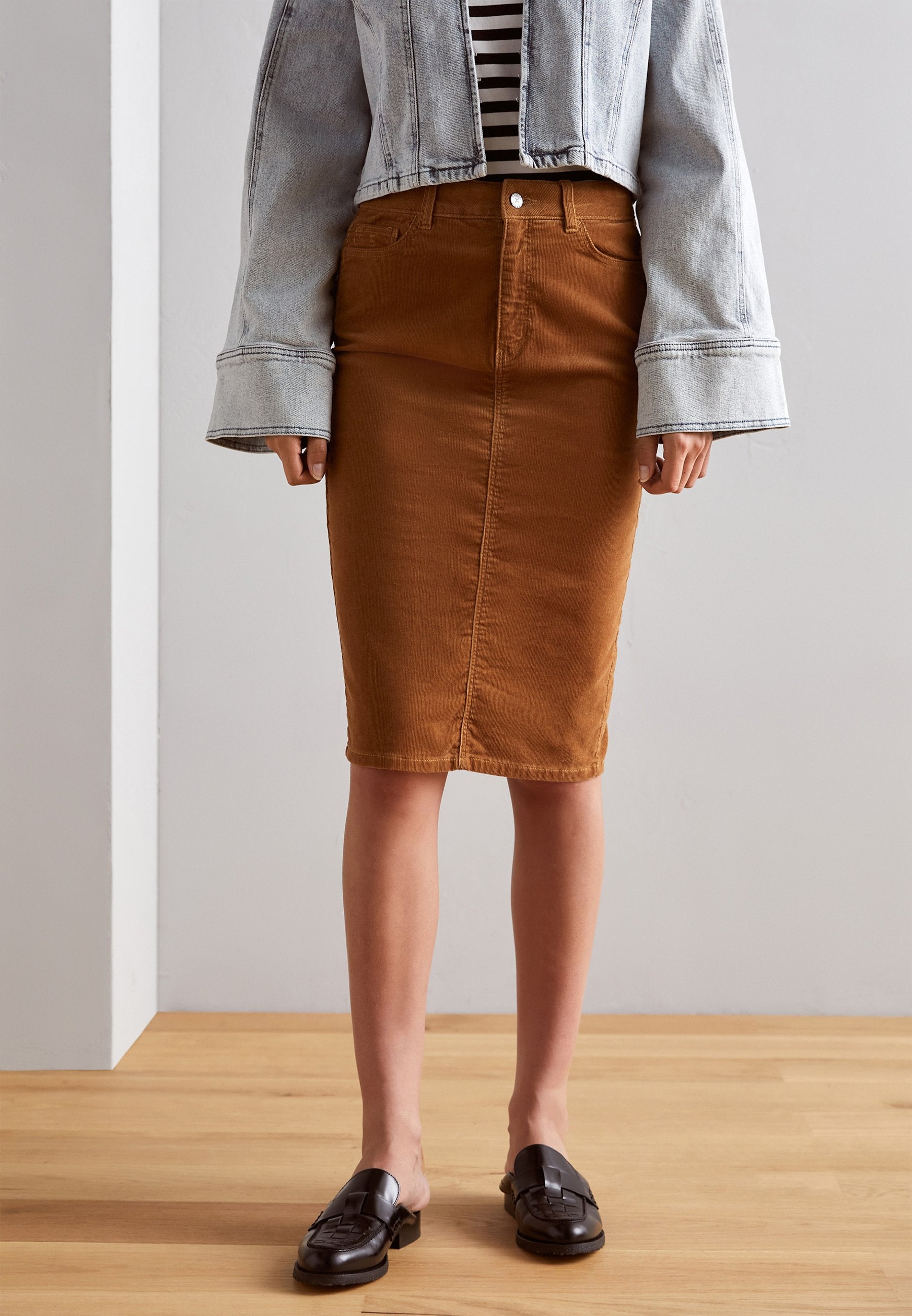 SKIRT Media 3