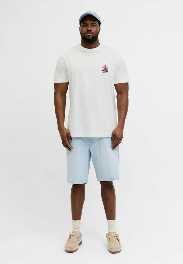 Jack & Jones JORMAINE - Print T-shirt - cloud dancer