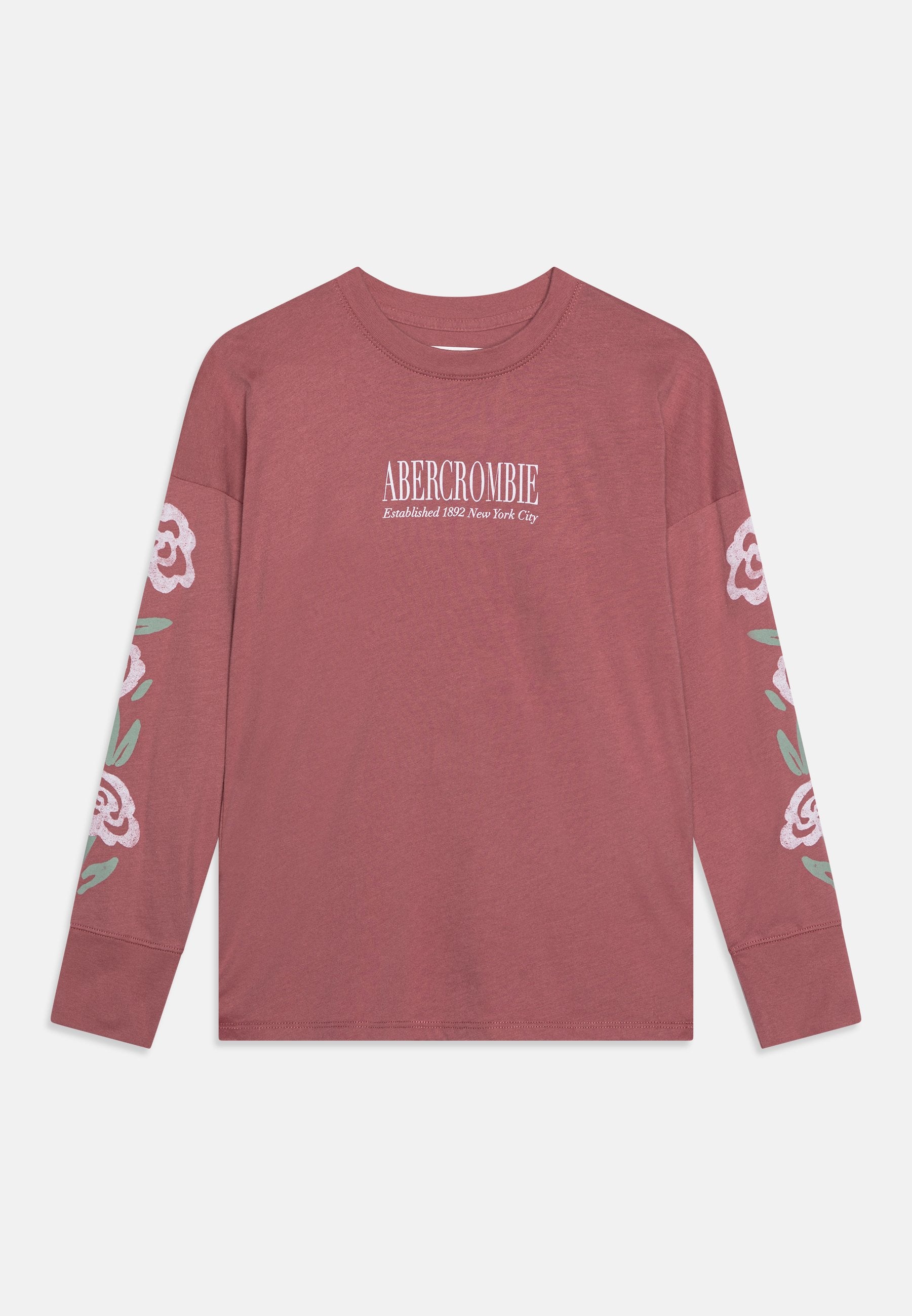 Abercrombie & Fitch LONG-SLEEVE IMAGERY GRAPHIC LOGO TEE