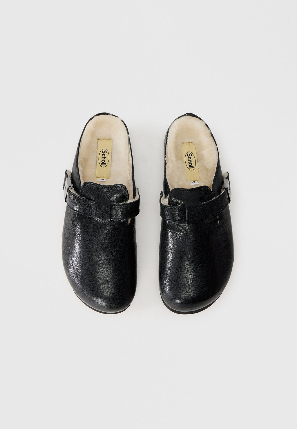 Scholl GRACE