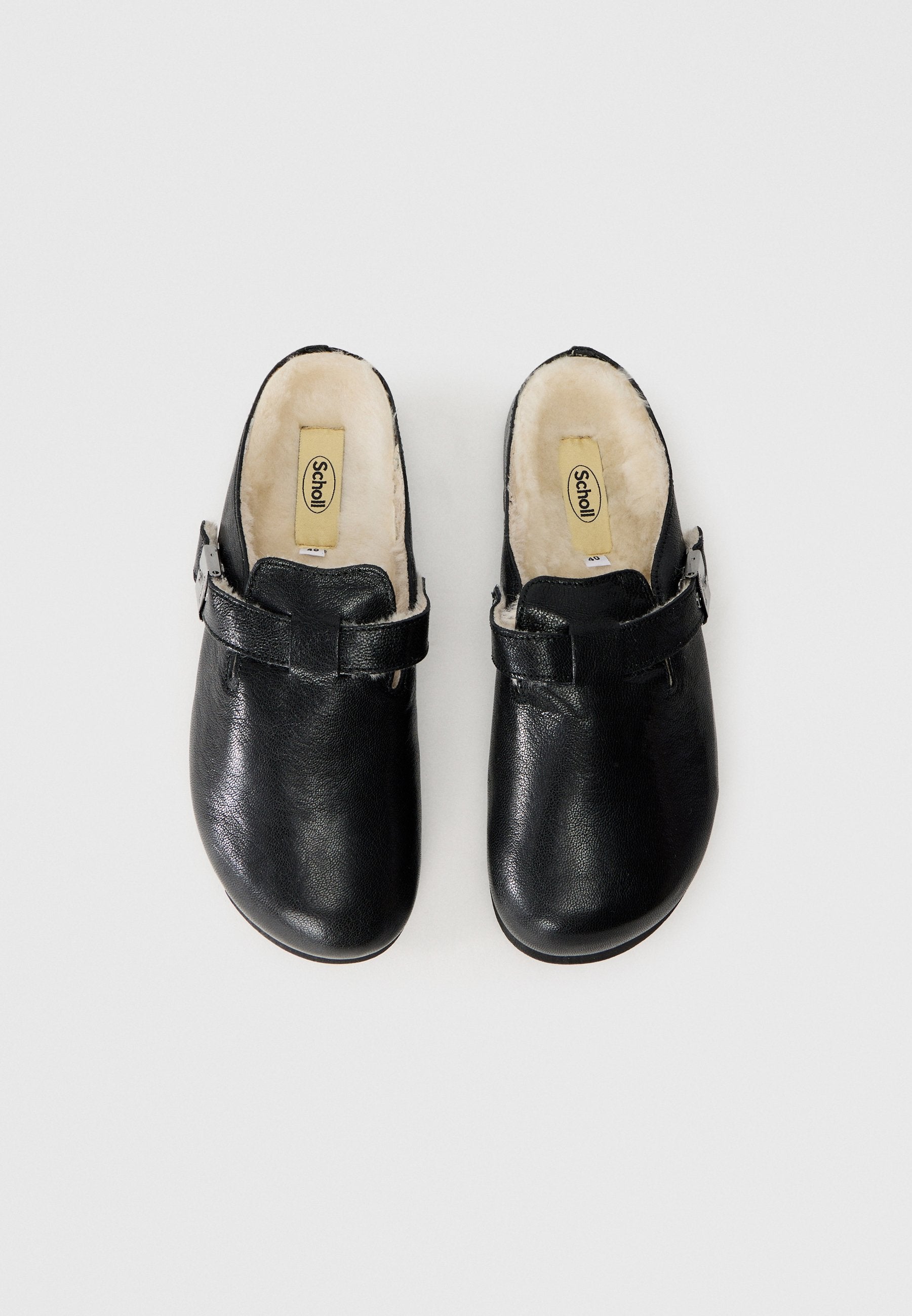 Scholl GRACE