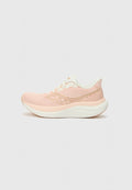 Saucony TRIUMPH