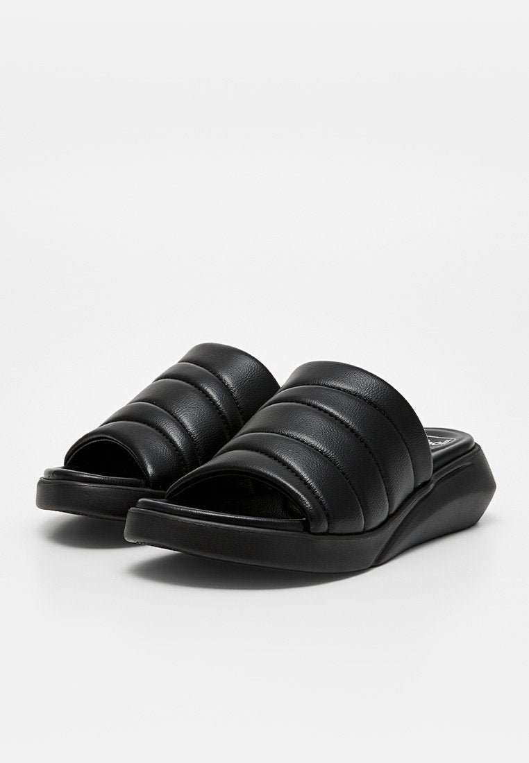 Scholl CUBA