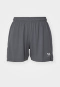 Under Armour CHALLENGER KNIT