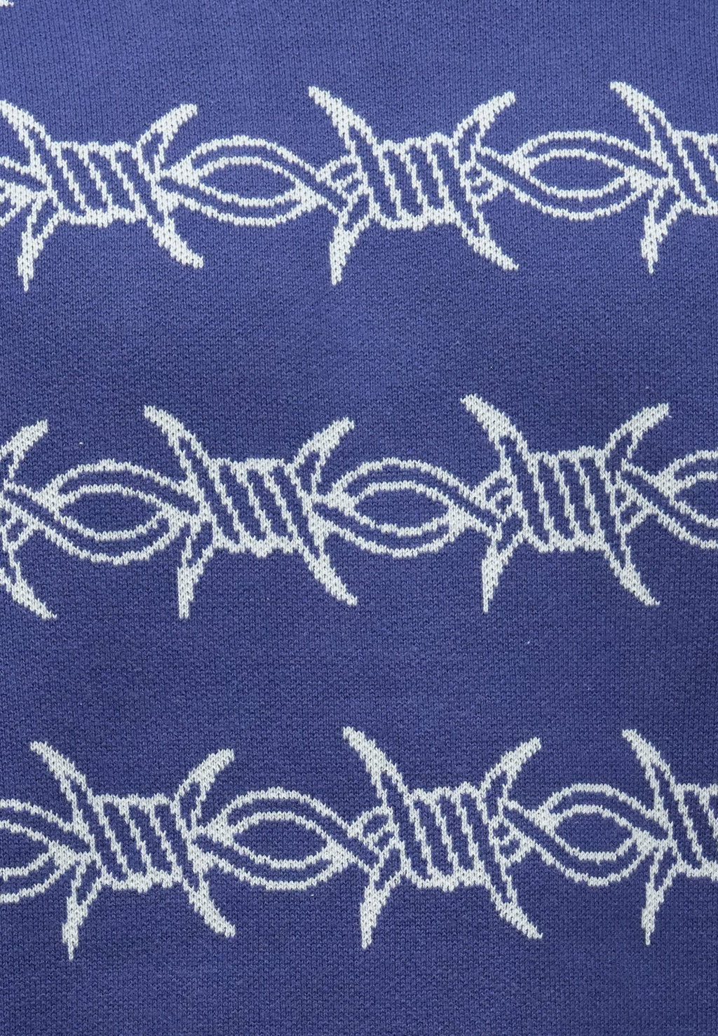 Santa Cruz WIRED CREW UNISEX