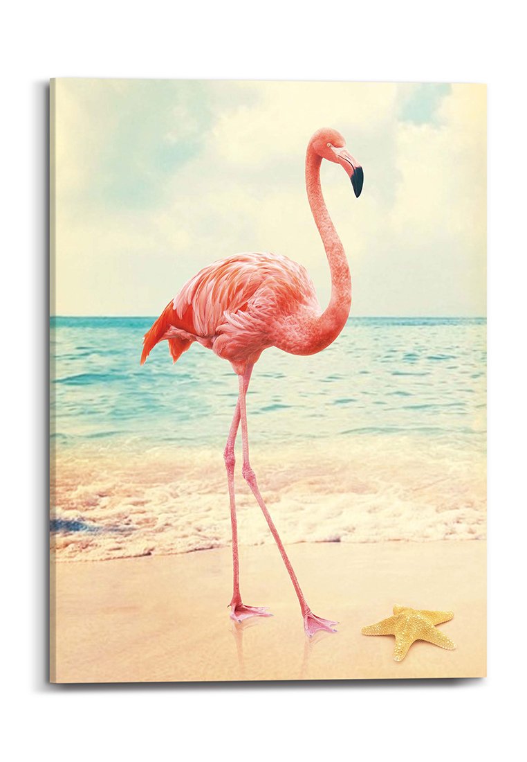 Orange Wallz FLAMINGO BEACH