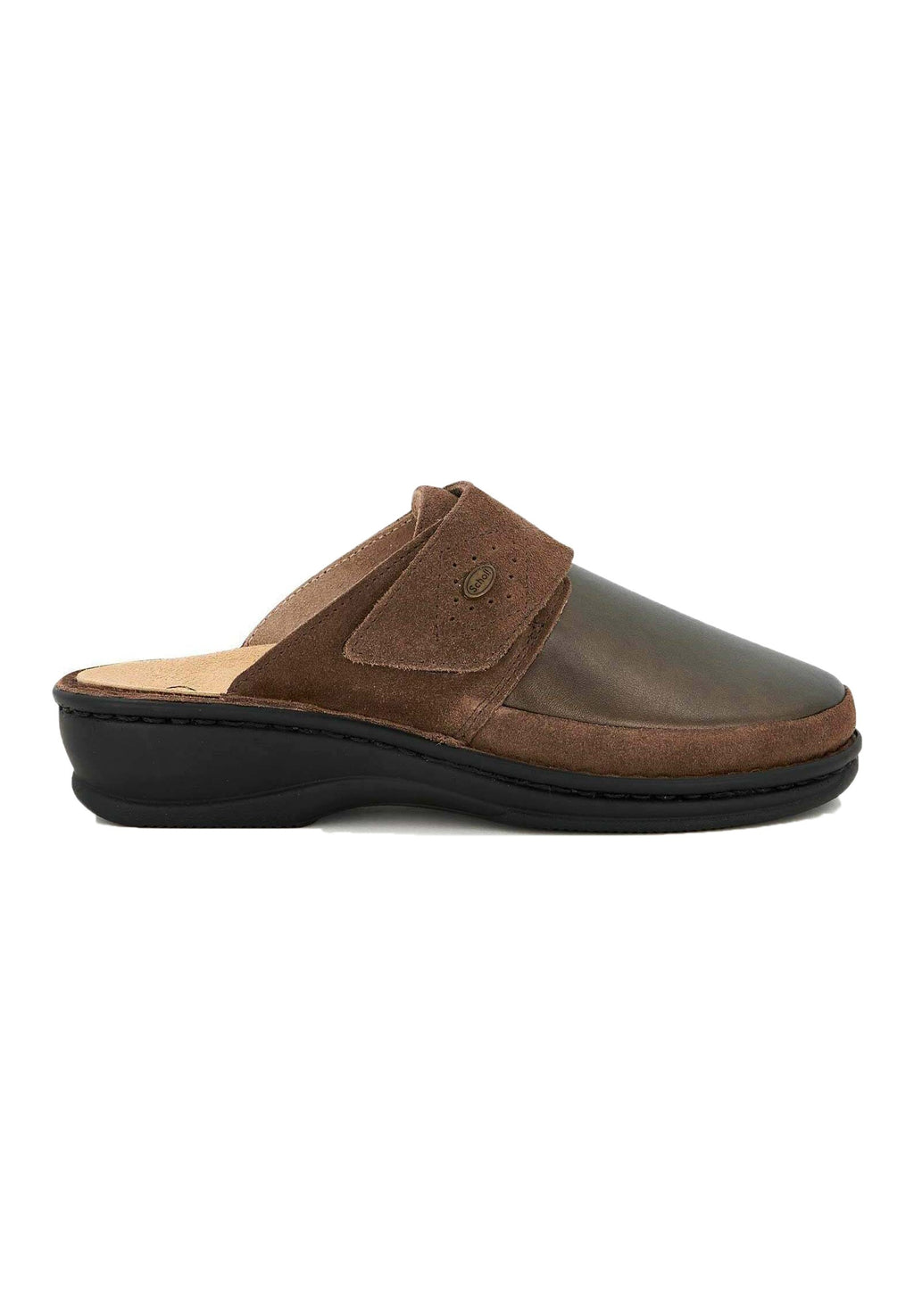 Scholl ROBERTA