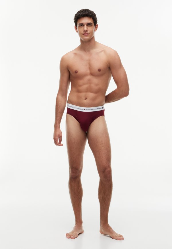 Tommy Hilfiger SIGNATURE 5 PACK - Briefs - multi-coloured