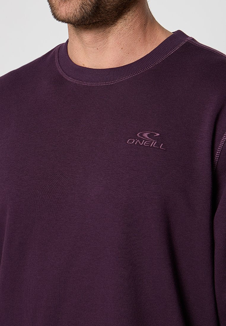 O'Neill SMALL LOGO CREW