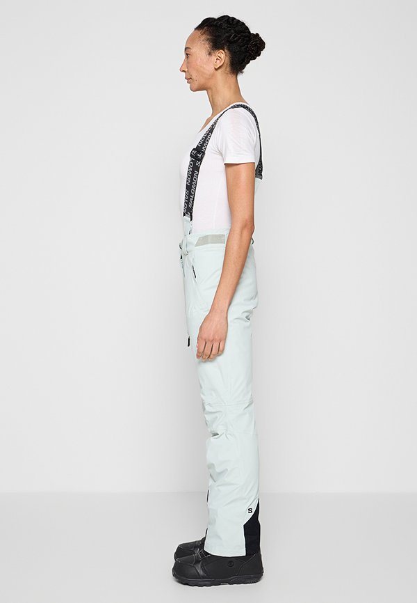 Salomon BRILLIANT REGULAR FIT