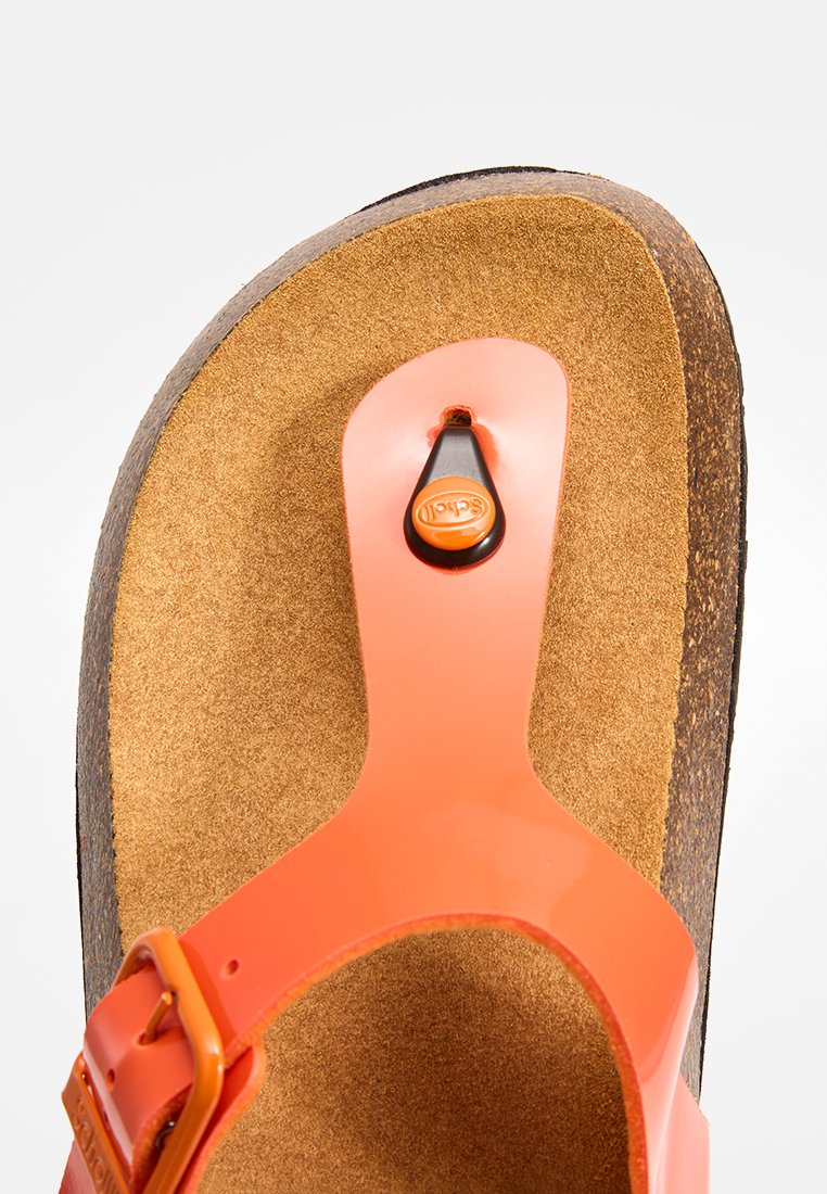 Scholl ANAIS