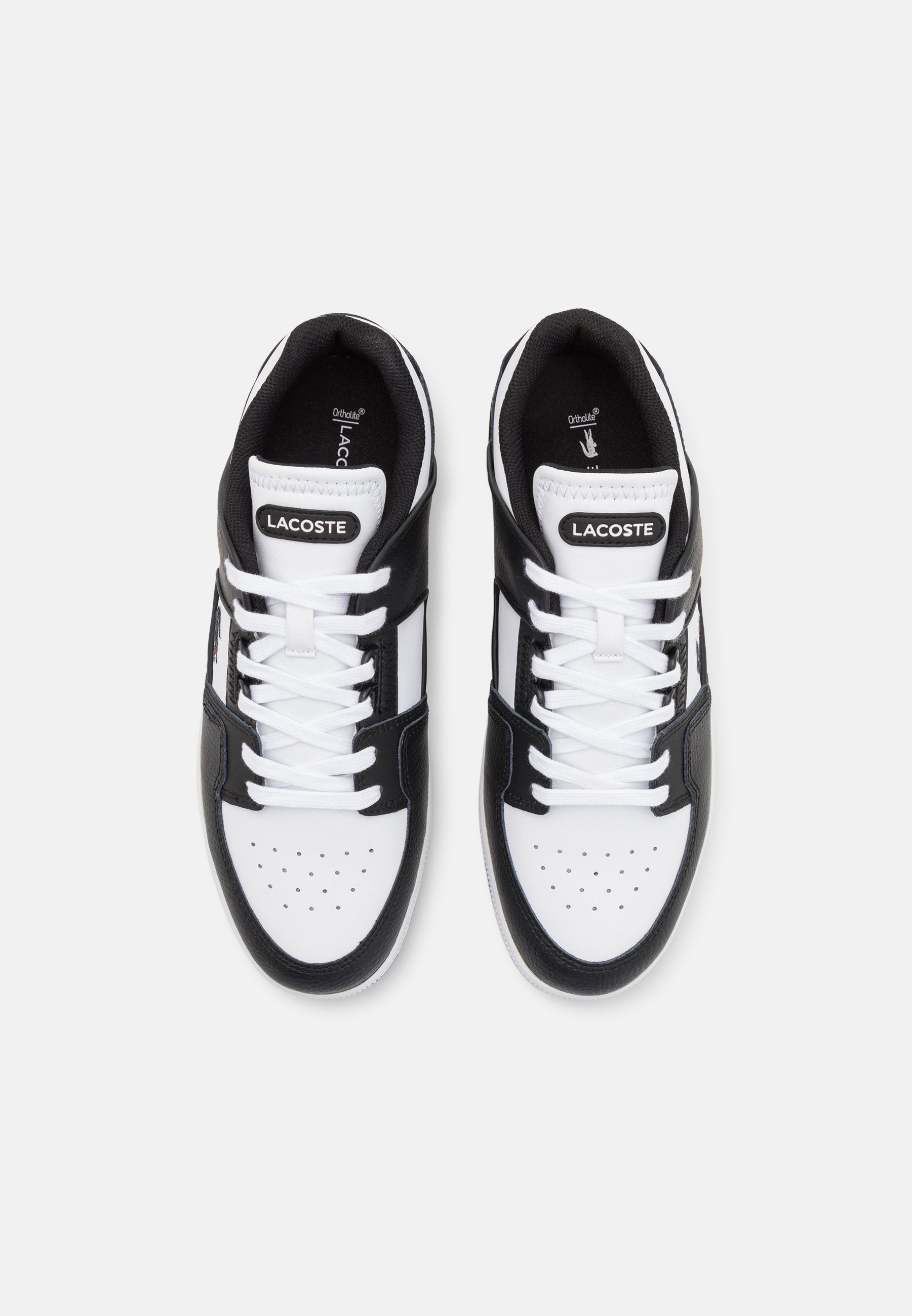 Lacoste COURT CAGE  224