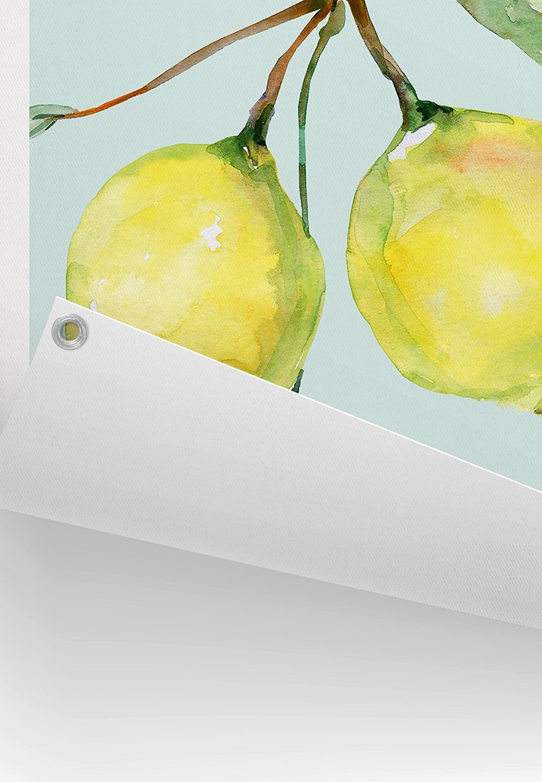Orange Wallz SORRENTO LEMONS
