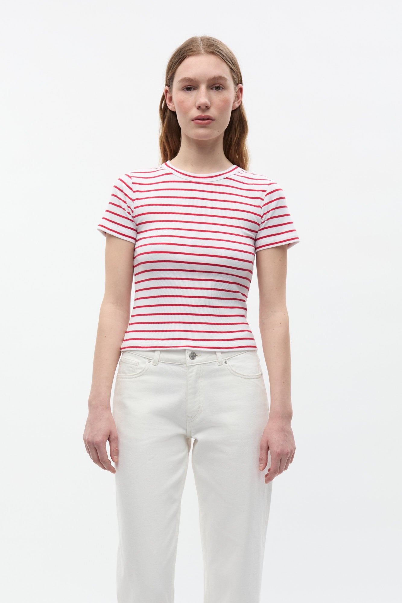 Envii ALLY CROP TEE