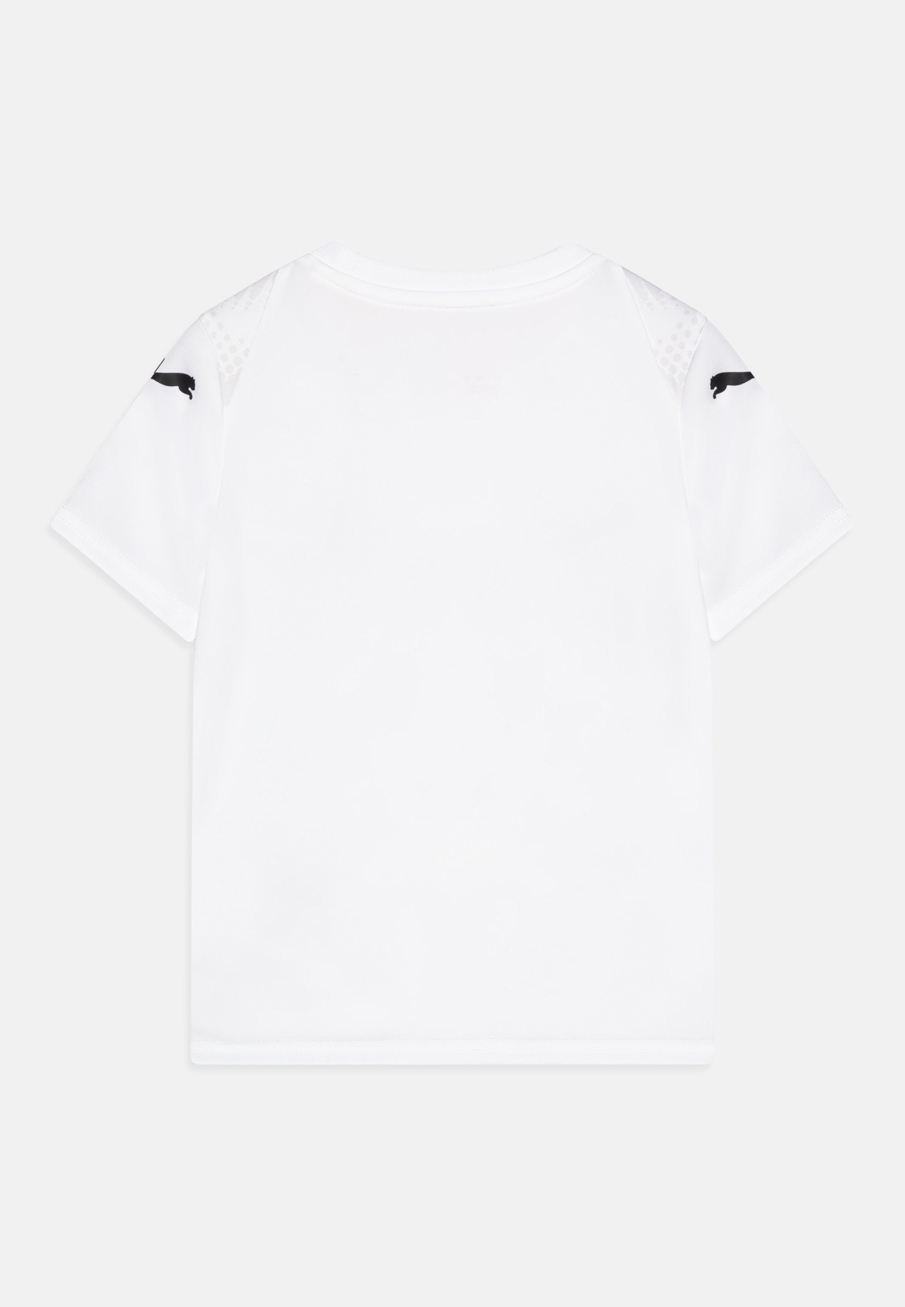 Puma TEAMULTIMATE