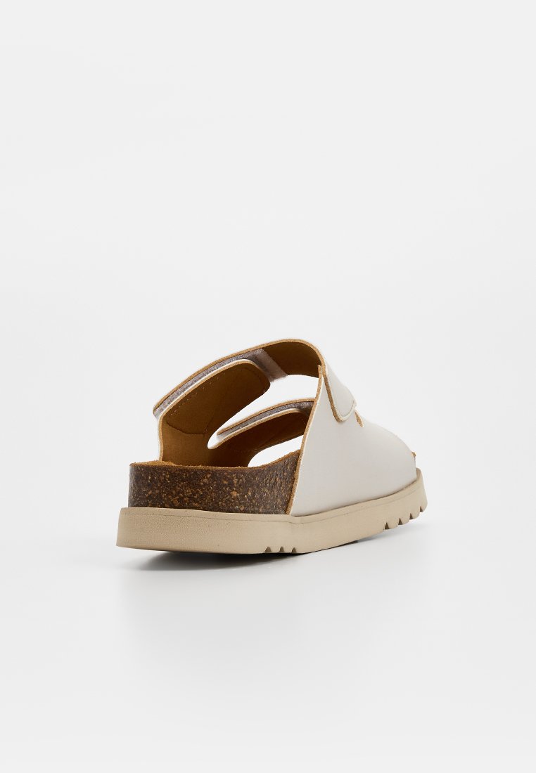 Scholl SIERR