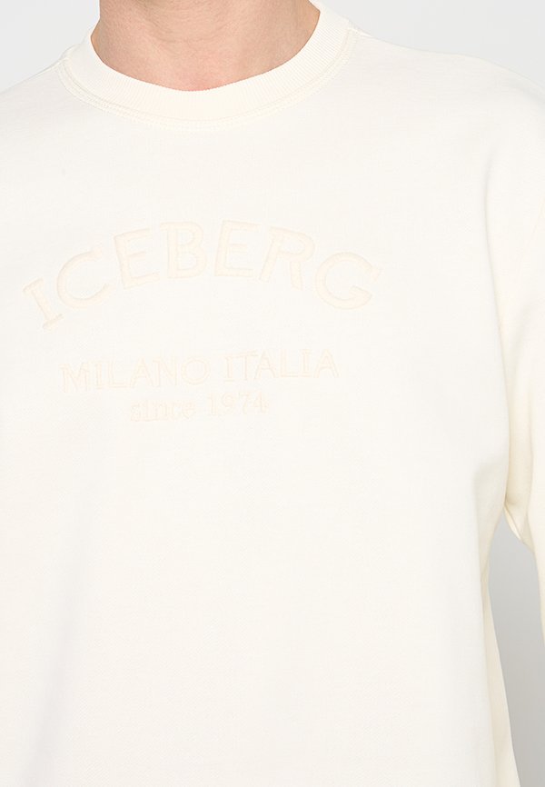 Iceberg