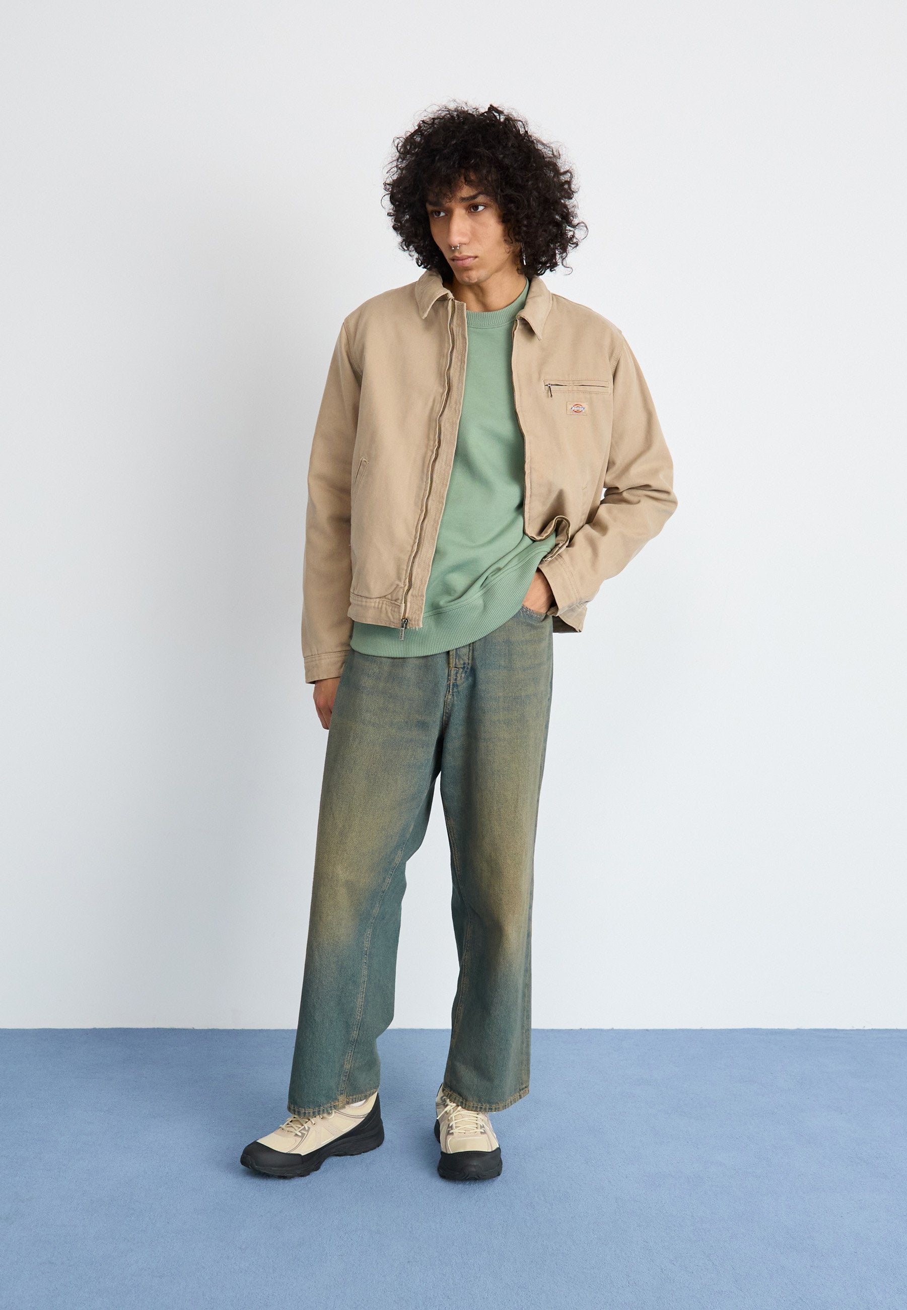 Dickies PAINTER JACKET