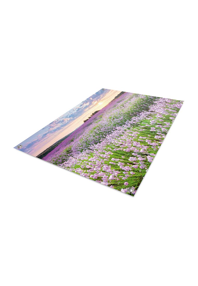 Orange Wallz SUNSET LAVENDER FIELD