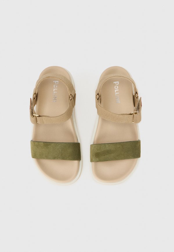 Pollini