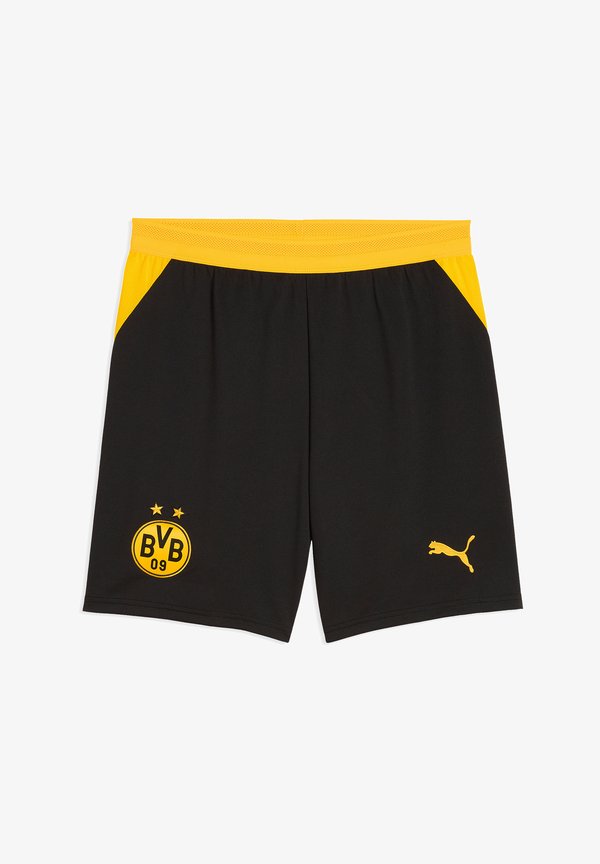 Puma BVB DORTMUND SHORTS REPLICA - Club wear - schwarz