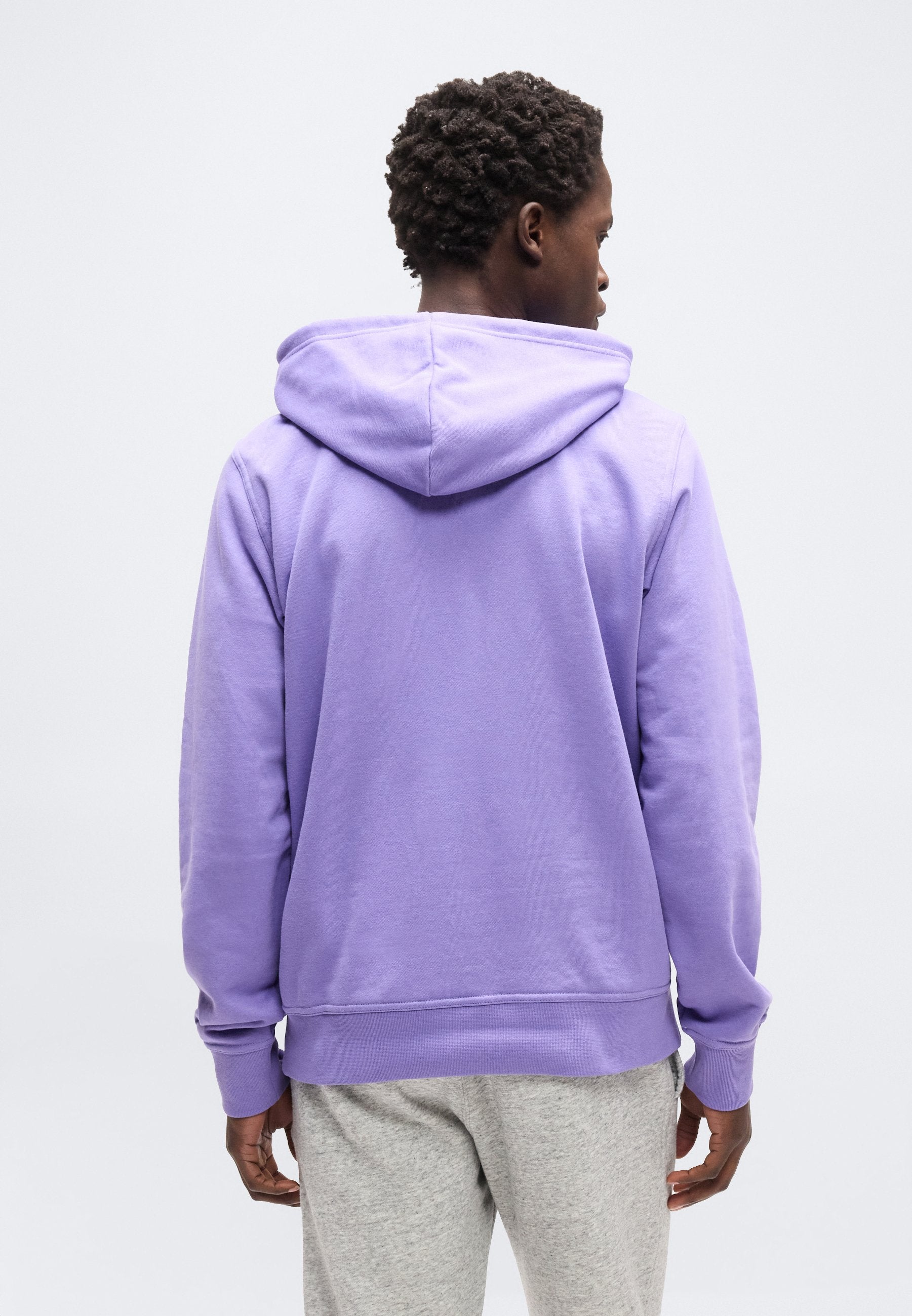Champion ICONS TONAL HOODIE WITH BIG LOGO